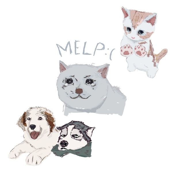 Pet Commissions