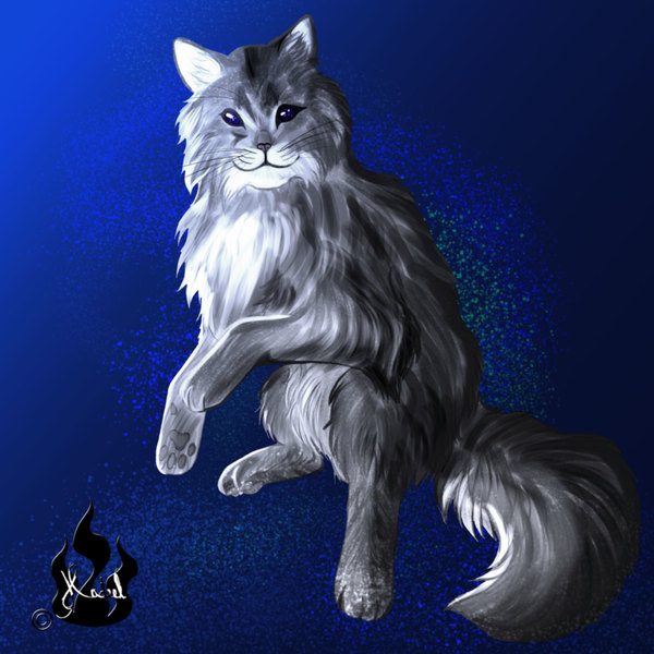 Pet illustration