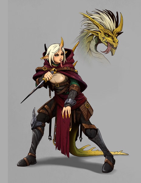 DND CHARACTER DESIGN REFERENCE