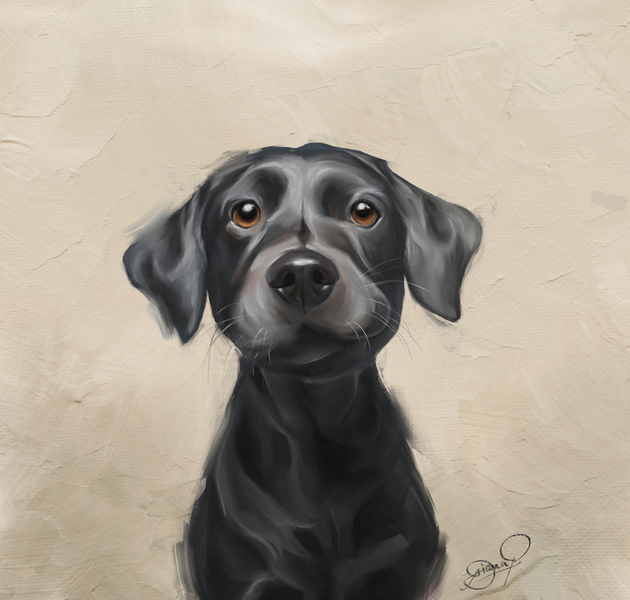 Digital Pet Portrait Painting
