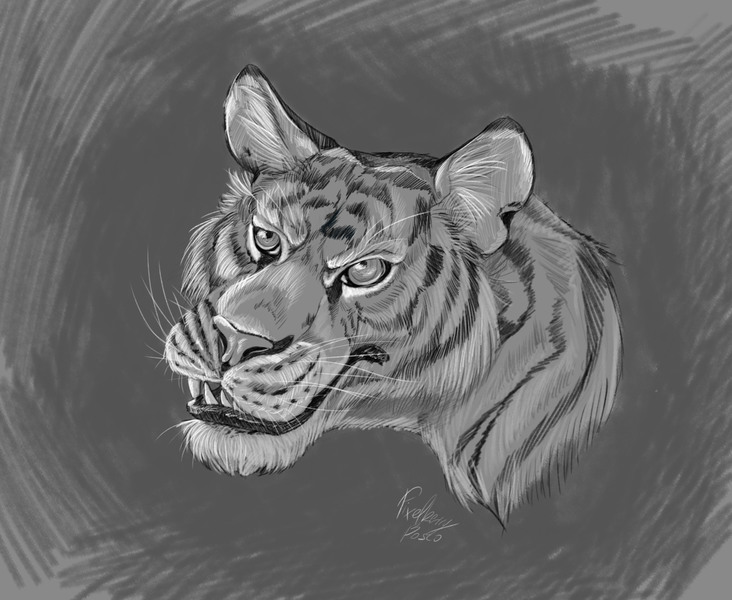 Grayscale sketch 