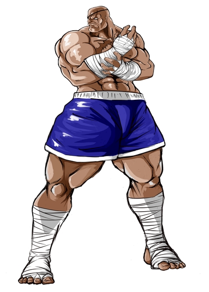 Sagat colored full body 