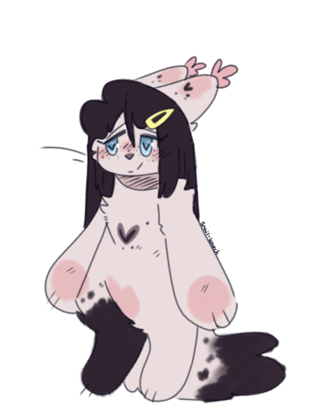 |Doodle Kitty| ADOPT