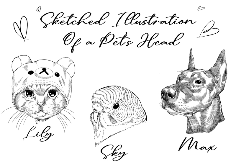 sketch pet head illustration