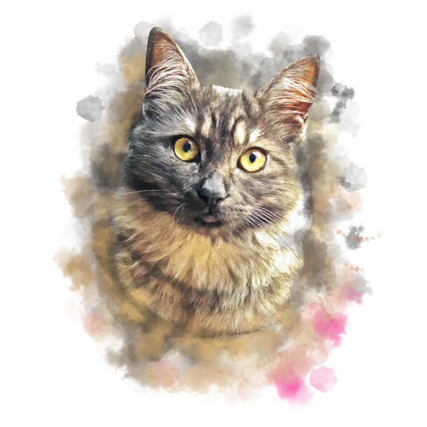 turn Pet into amazing watercolor style