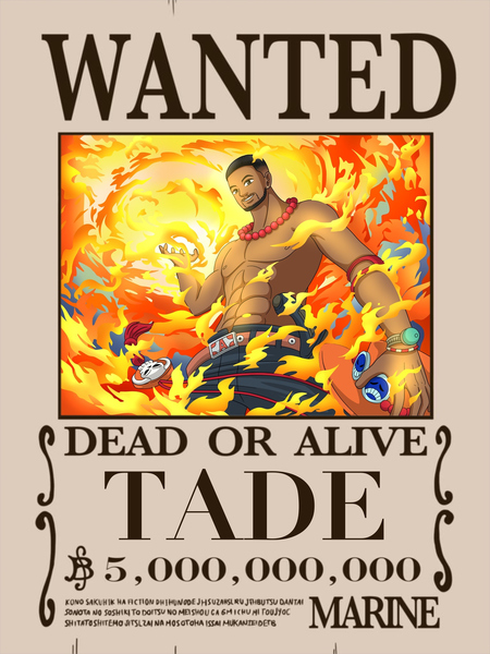 ONE PIECE WANTED 