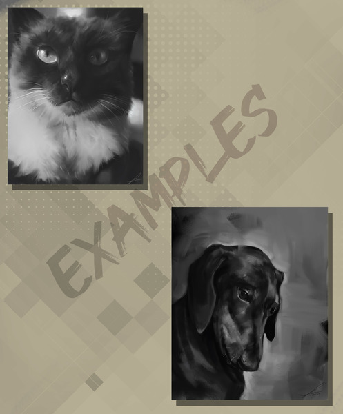Black and White Pets Portraits
