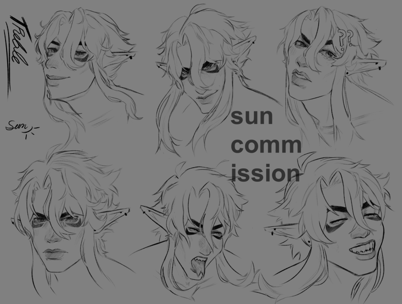Expression sheet commissions