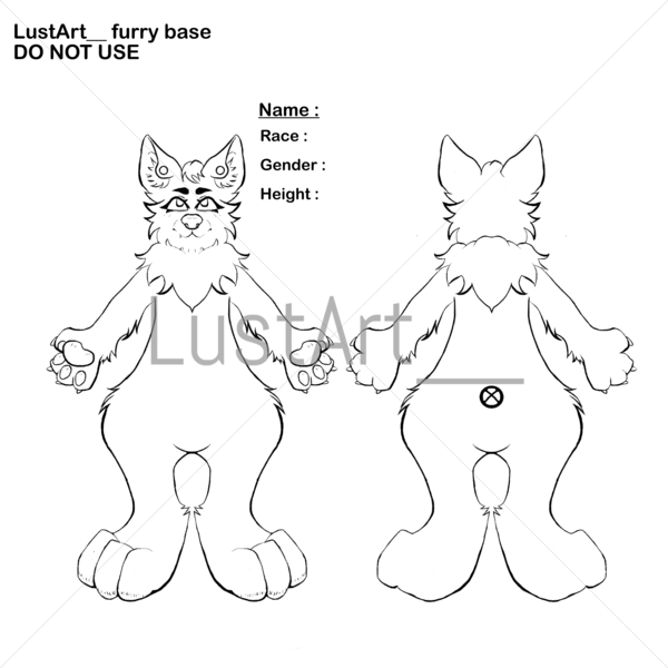 furry character sheet of oc or new oc