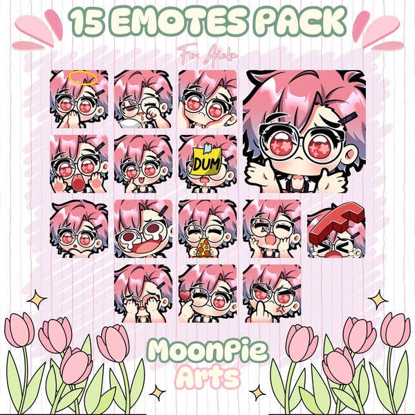SMALL BUNDLING 15 EMOTES