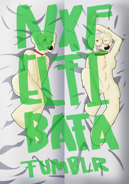 Custom Dakimakura / Body Pillow!