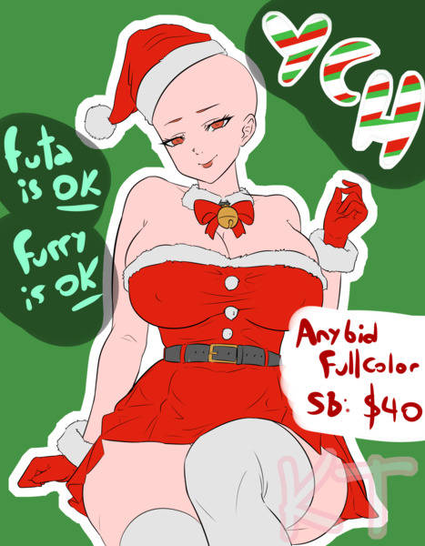 YCH Christmas Surprise