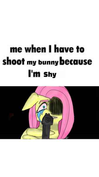 mlp oc or canon char meme