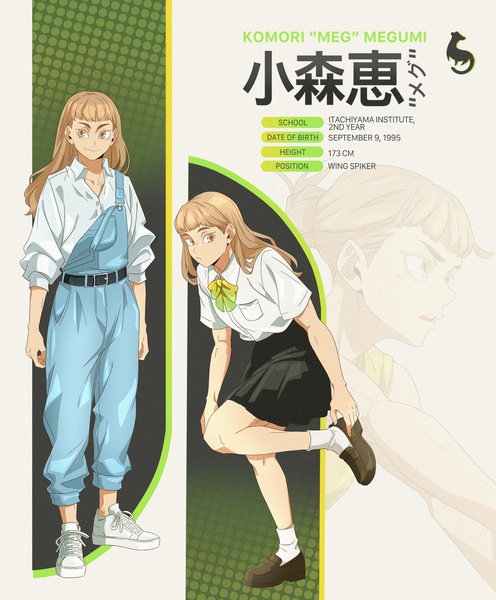 Haikyuu reference sheet