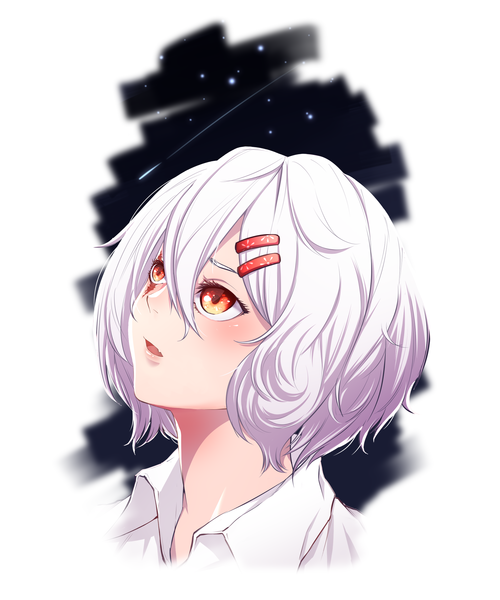 ANIME STYLE COMMISSION