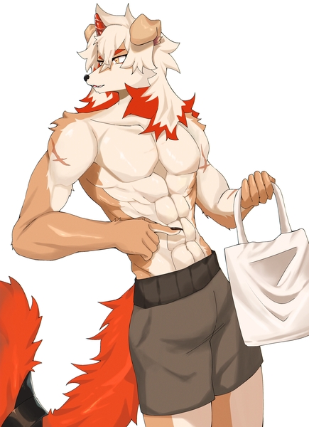 Furry commission