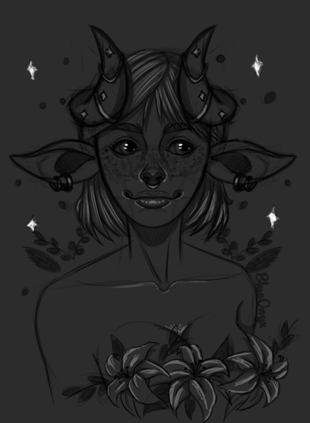 Sketch