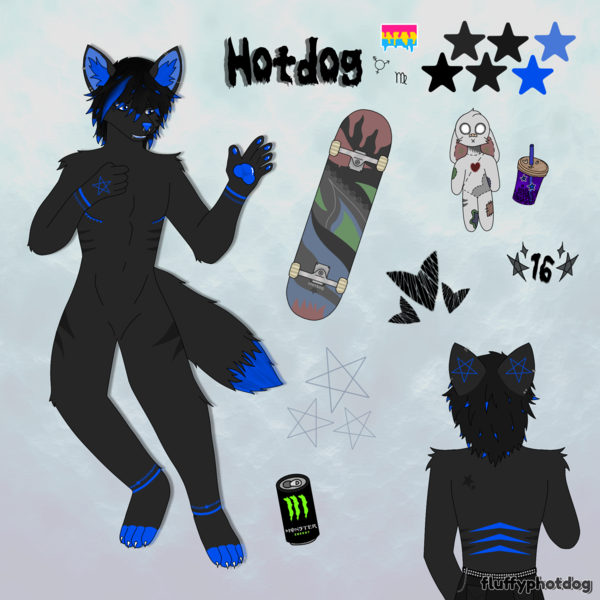 Custom Furry Reference Sheet