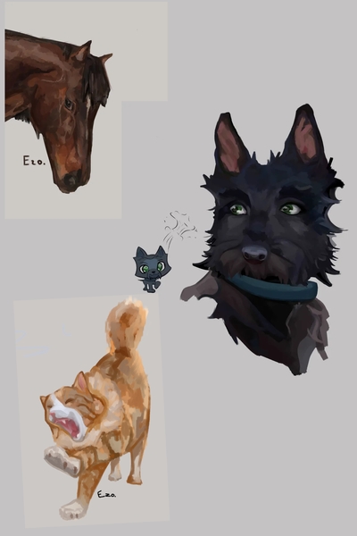 Animal fullbody/ halfbody