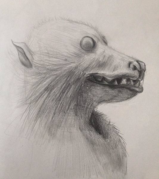 Sketch of Your Favorite Animal