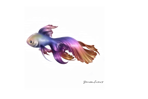 Rainbow Betta Fish tattoo design