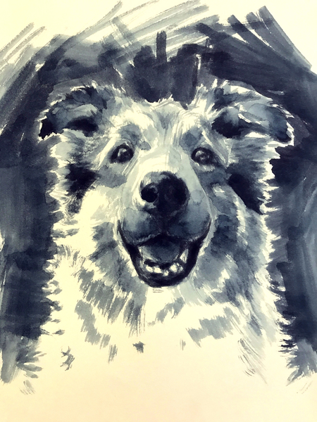 Watercolor pet portrait