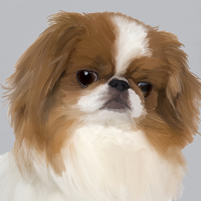 Detailed pet and animal portraits 