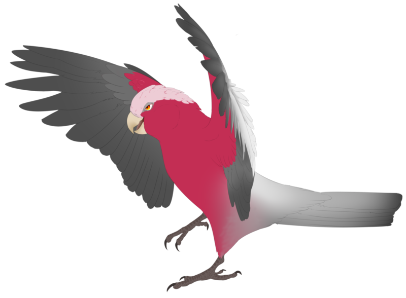 Colored cartoon bird
