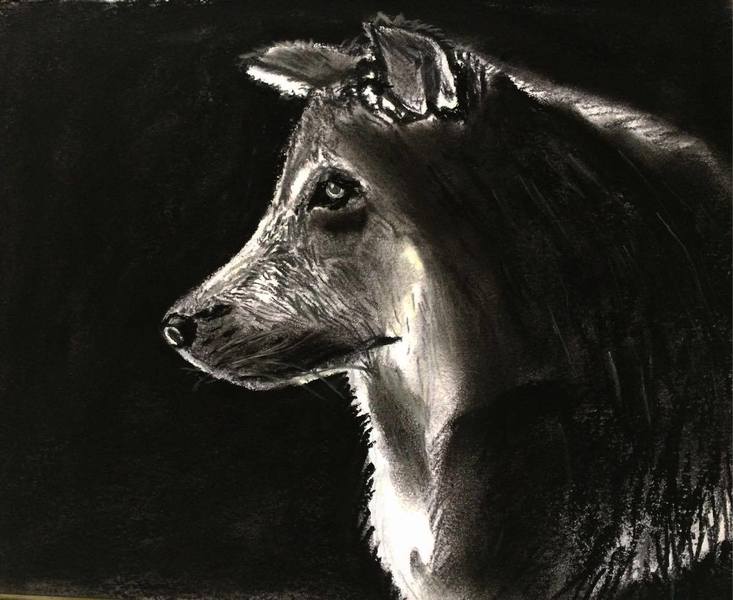 Charcoal Drawing Of Your Animal