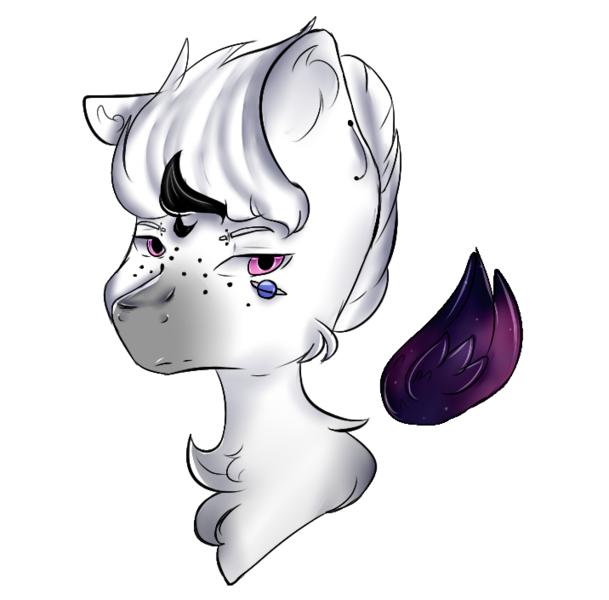 bust of ponies full shaded