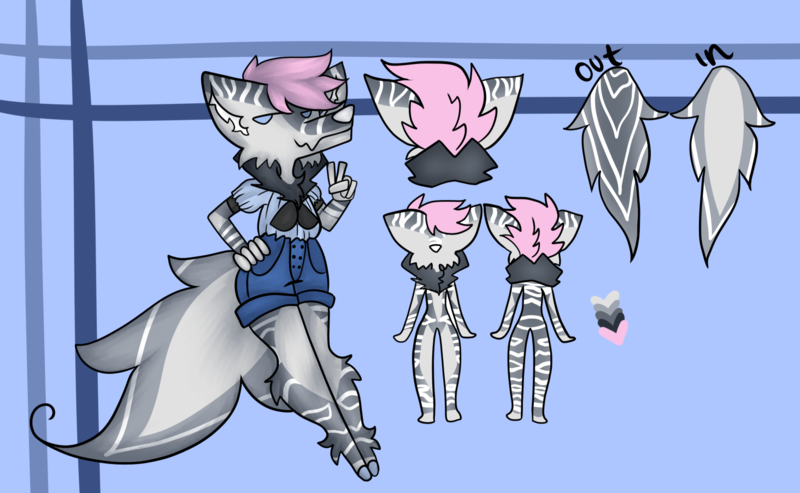 Custom Furry Character