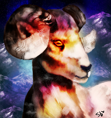 Ram/Sheep/Goat Portrait