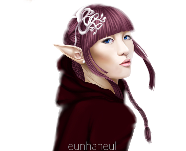 Semi Realistic Portraits