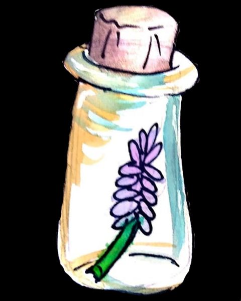 colored picture of bottle