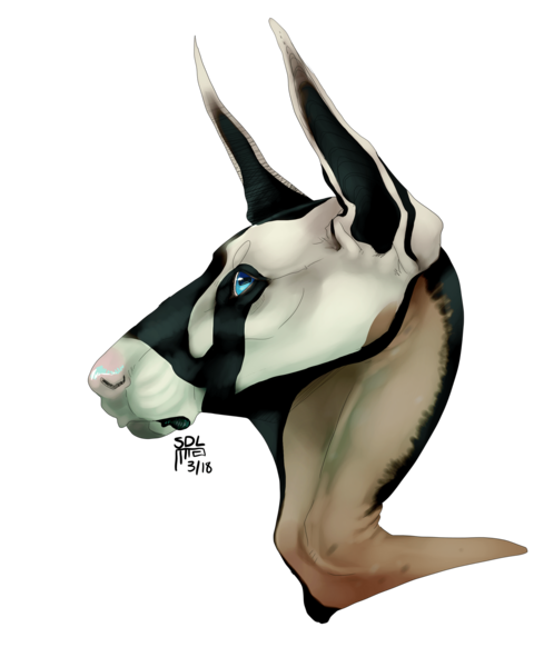 Shaded Headshot/Bust (characters or pets)