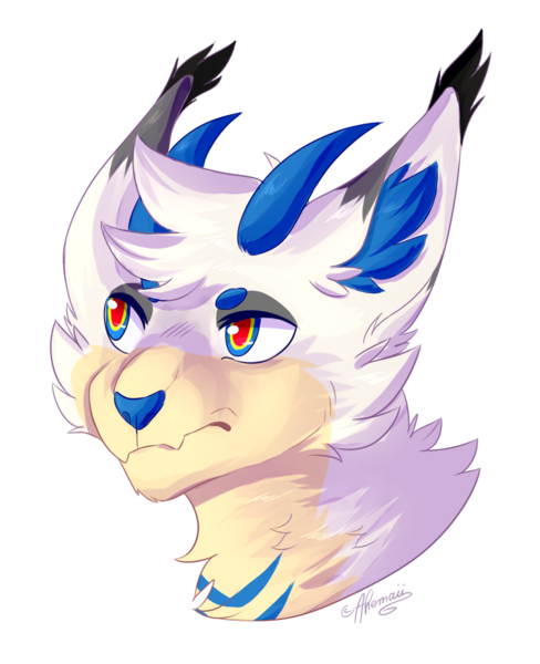 Headshot colored and shaded 