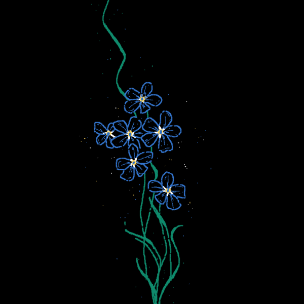 outlined digital sketch botanical