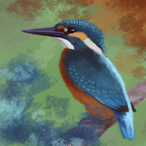 Digital Bird Painting