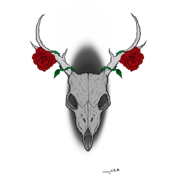Deer Skull illustration 