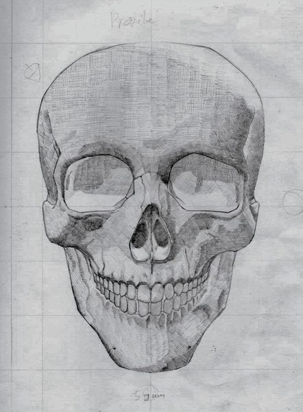 Skullhead drawing