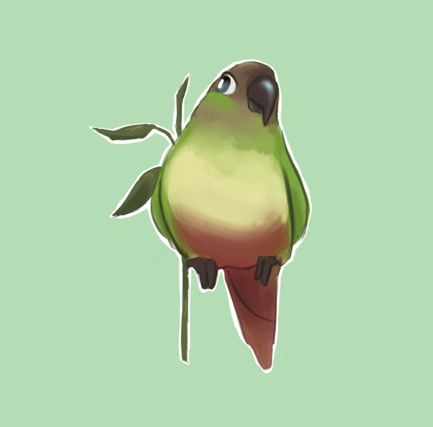 Bird or Parrot portrait - fullbody - Solo 
