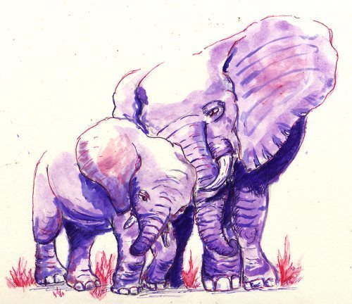 Colored Stylized Animal Art in Watercolor