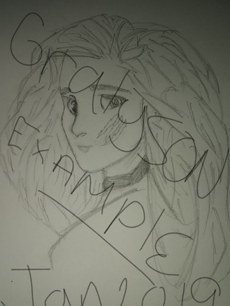 Sketches