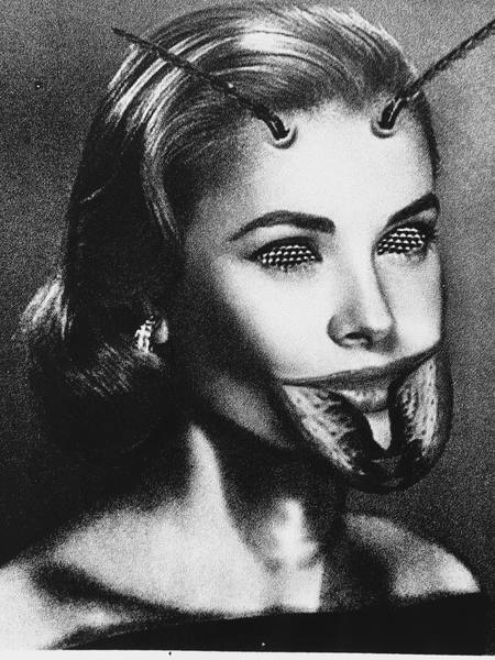 Human-Bug Portraits