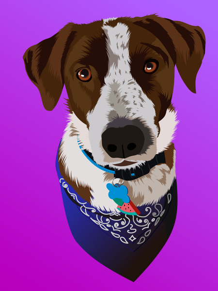 Colorful Dog Portrait 