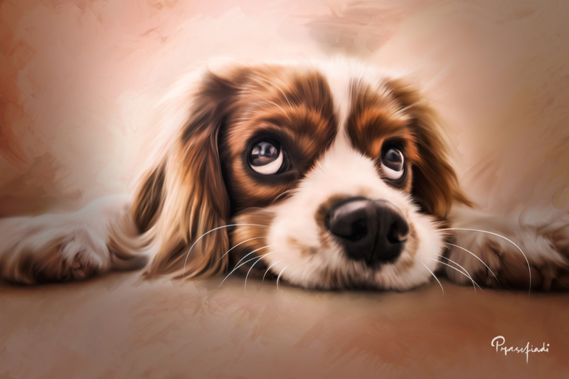 Pets & Animals Digital Painting