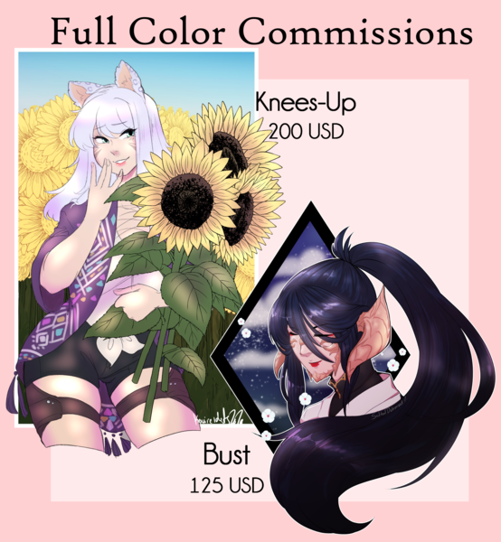 Full Color Commissions