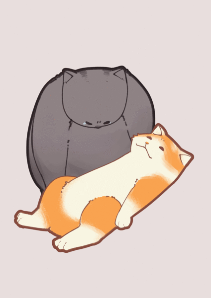 CUSTOMS CAT MEME